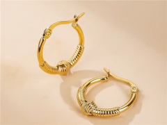 HY Wholesale Earrings 316L Stainless Steel Earrings Jewelry-HY0069E0320