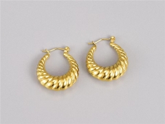 HY Wholesale Earrings 316L Stainless Steel Earrings Jewelry-HY0069E0352