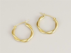 HY Wholesale Earrings 316L Stainless Steel Earrings Jewelry-HY0069E0215