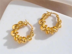 HY Wholesale Earrings 316L Stainless Steel Earrings Jewelry-HY0069E0187