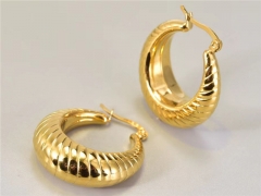 HY Wholesale Earrings 316L Stainless Steel Earrings Jewelry-HY0069E0186