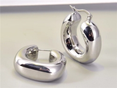 HY Wholesale Earrings 316L Stainless Steel Earrings Jewelry-HY0069E0124