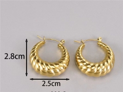 HY Wholesale Earrings 316L Stainless Steel Earrings Jewelry-HY0069E0250