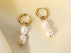 HY Wholesale Earrings 316L Stainless Steel Earrings Jewelry-HY0069E0296