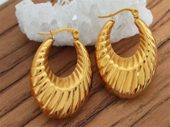 HY Wholesale Earrings 316L Stainless Steel Earrings Jewelry-HY0069E0337