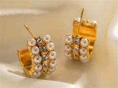 HY Wholesale Earrings 316L Stainless Steel Earrings Jewelry-HY0069E0095