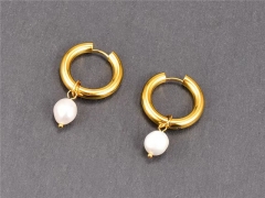 HY Wholesale Earrings 316L Stainless Steel Earrings Jewelry-HY0069E0365