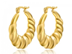 HY Wholesale Earrings 316L Stainless Steel Earrings Jewelry-HY0069E0310