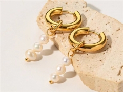 HY Wholesale Earrings 316L Stainless Steel Earrings Jewelry-HY0069E0075