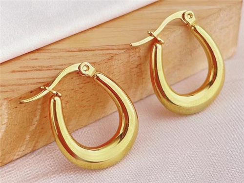 HY Wholesale Earrings 316L Stainless Steel Earrings Jewelry-HY0123E0076