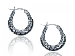 HY Wholesale Earrings 316L Stainless Steel Earrings Jewelry-HY0123E0193