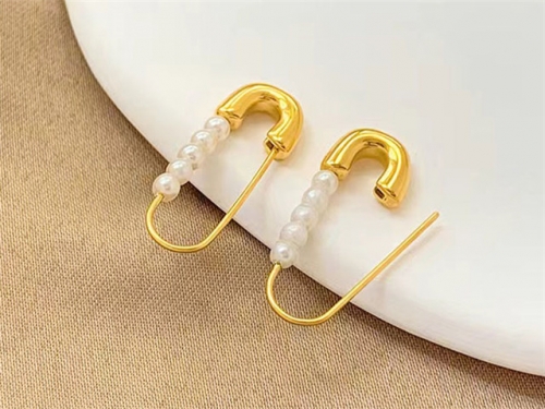 HY Wholesale Earrings 316L Stainless Steel Earrings Jewelry-HY0123E0033