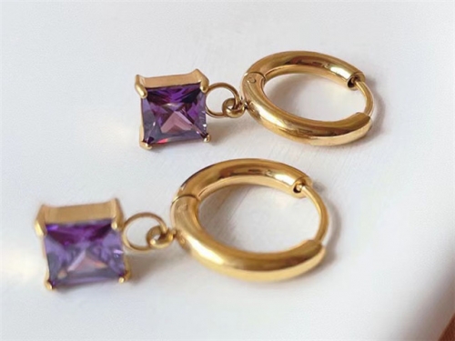 HY Wholesale Earrings 316L Stainless Steel Earrings Jewelry-HY0123E0042