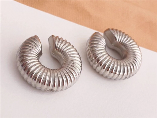 HY Wholesale Earrings 316L Stainless Steel Earrings Jewelry-HY0123E0073