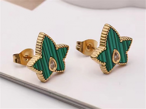 HY Wholesale Earrings 316L Stainless Steel Earrings Jewelry-HY0123E0142