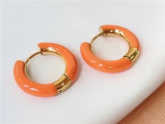 HY Wholesale Earrings 316L Stainless Steel Earrings Jewelry-HY0123E0097