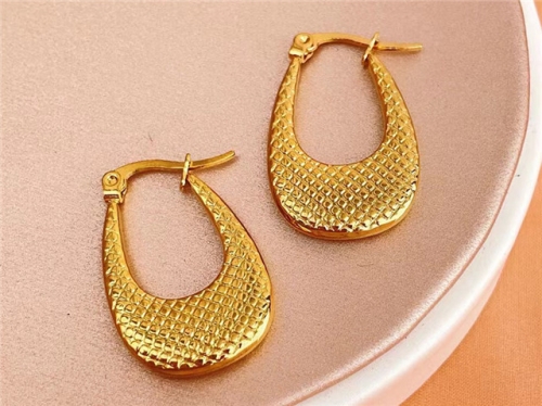 HY Wholesale Earrings 316L Stainless Steel Earrings Jewelry-HY0123E0022