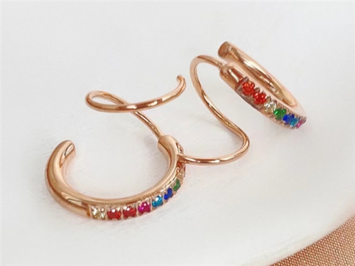 HY Wholesale Earrings 316L Stainless Steel Earrings Jewelry-HY0123E0024