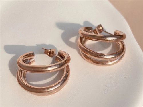 HY Wholesale Earrings 316L Stainless Steel Earrings Jewelry-HY0123E0109