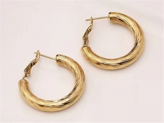 HY Wholesale Earrings 316L Stainless Steel Earrings Jewelry-HY0123E0150