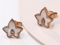 HY Wholesale Earrings 316L Stainless Steel Earrings Jewelry-HY0123E0148