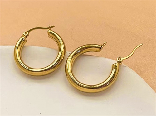 HY Wholesale Earrings 316L Stainless Steel Earrings Jewelry-HY0123E0175