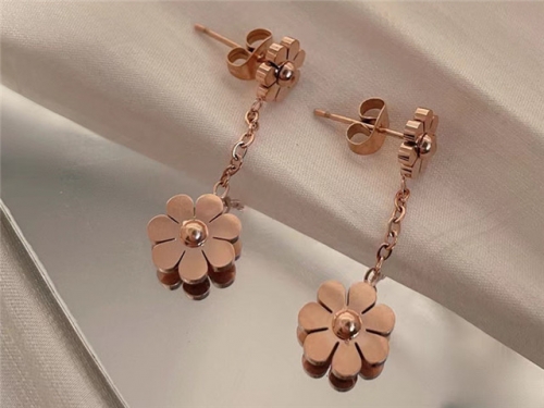 HY Wholesale Earrings 316L Stainless Steel Earrings Jewelry-HY0123E0126