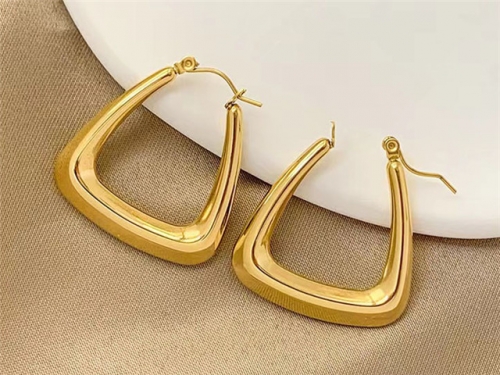 HY Wholesale Earrings 316L Stainless Steel Earrings Jewelry-HY0123E0165
