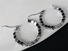 HY Wholesale Earrings 316L Stainless Steel Earrings Jewelry-HY0123E0141