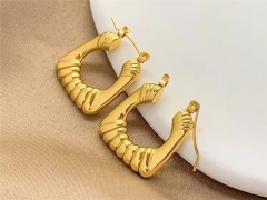 HY Wholesale Earrings 316L Stainless Steel Earrings Jewelry-HY0123E0170