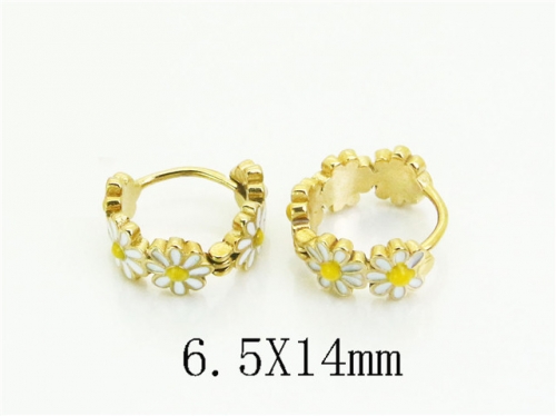 HY Wholesale Earrings 316L Stainless Steel Earrings Jewelry-HY05E2163HMS