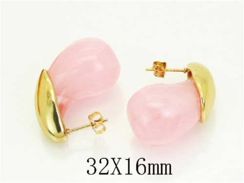 HY Wholesale Earrings 316L Stainless Steel Earrings Jewelry-HY80E1276PC