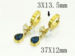 HY Wholesale Earrings 316L Stainless Steel Earrings Jewelry-HY89E0546OG