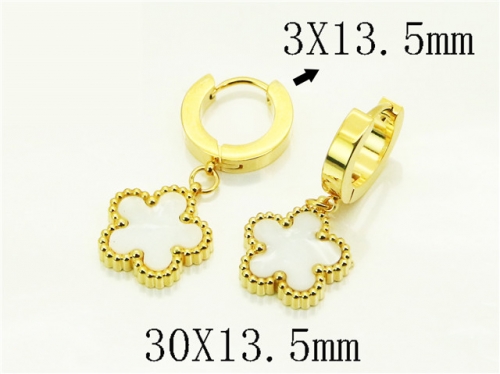 HY Wholesale Earrings 316L Stainless Steel Earrings Jewelry-HY81E0526OC