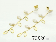 HY Wholesale Earrings 316L Stainless Steel Earrings Jewelry-HY89E0538OV