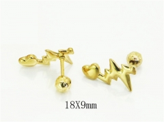 HY Wholesale Earrings 316L Stainless Steel Earrings Jewelry-HY70E1431FKL