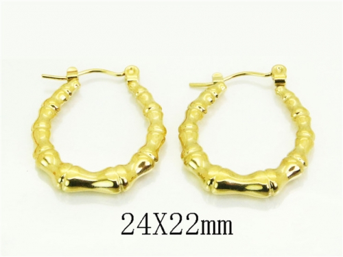 HY Wholesale Earrings 316L Stainless Steel Earrings Jewelry-HY12E0416VLL