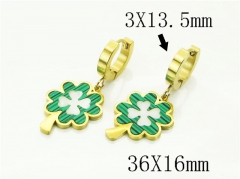 HY Wholesale Earrings 316L Stainless Steel Earrings Jewelry-HY89E0549OR