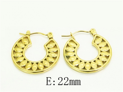 HY Wholesale Earrings 316L Stainless Steel Earrings Jewelry-HY12E0399CLL