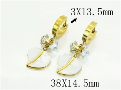 HY Wholesale Earrings 316L Stainless Steel Earrings Jewelry-HY89E0555OG