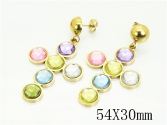 HY Wholesale Earrings 316L Stainless Steel Earrings Jewelry-HY80E1248HSL