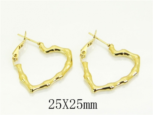 HY Wholesale Earrings 316L Stainless Steel Earrings Jewelry-HY12E0392LL