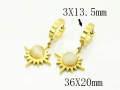 HY Wholesale Earrings 316L Stainless Steel Earrings Jewelry-HY89E0552OC