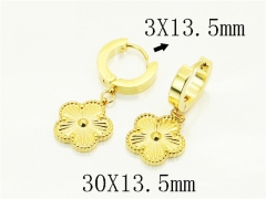 HY Wholesale Earrings 316L Stainless Steel Earrings Jewelry-HY81E0529NL