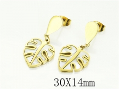 HY Wholesale Earrings 316L Stainless Steel Earrings Jewelry-HY89E0562OB