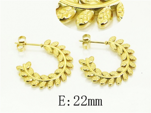 HY Wholesale Earrings 316L Stainless Steel Earrings Jewelry-HY12E0420LY