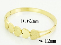 HY Wholesale Bangles Jewelry Stainless Steel 316L Popular Bangle-HY19B1254HKS