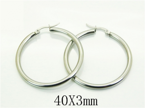 HY Wholesale Earrings 316L Stainless Steel Earrings Jewelry-HY70E1464IW