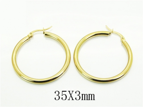 HY Wholesale Earrings 316L Stainless Steel Earrings Jewelry-HY70E1463IL