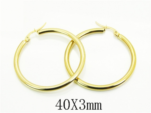 HY Wholesale Earrings 316L Stainless Steel Earrings Jewelry-HY70E1465JE